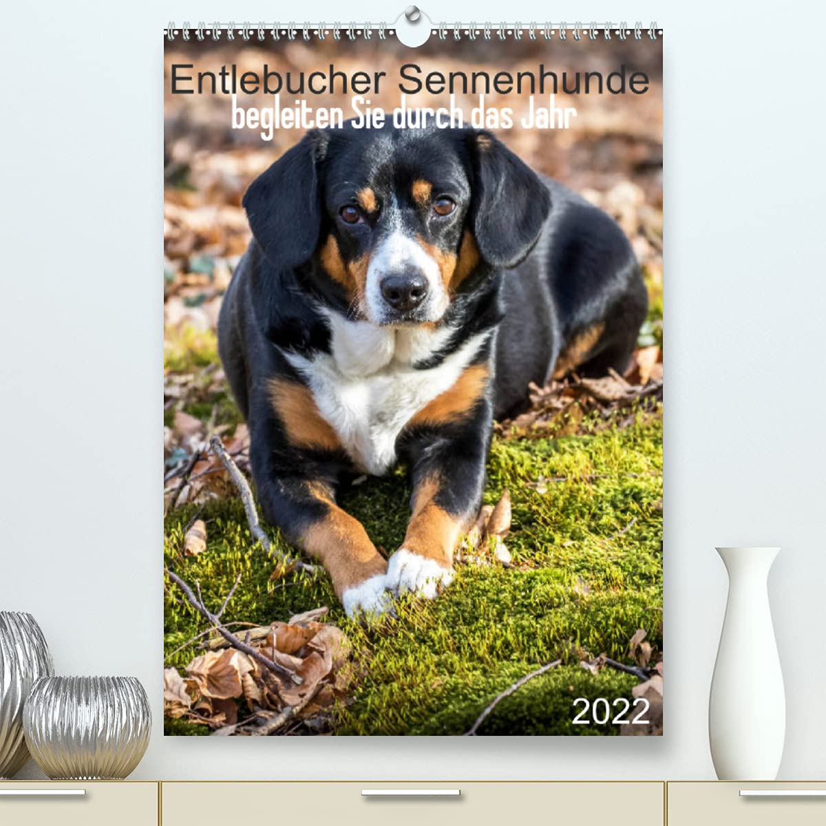 Entlebucher Sennenhunde begleiten Sie durch das Jahr (Premium, hochwertiger DIN A2 Wandkalender 2022, Kunstdruck in Hochglanz): Die Entlebucher ... Luna (Planer, 14 Seiten ) (CALVENDO Tiere) Photography
