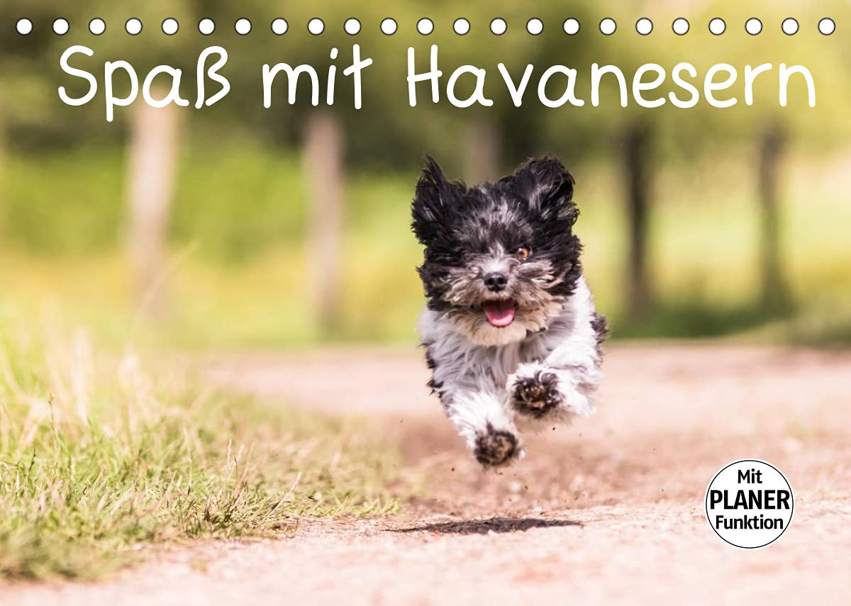 Spaß mit Havanesern (Tischkalender 2022 DIN A5 quer): Fröhliche Havaneser begleiten Sie durch Ihr Jahr. Lassen Sie sich verzaubern. (Geburtstagskalender, 14 Seiten ) (CALVENDO Tiere) Contemporary literature Books