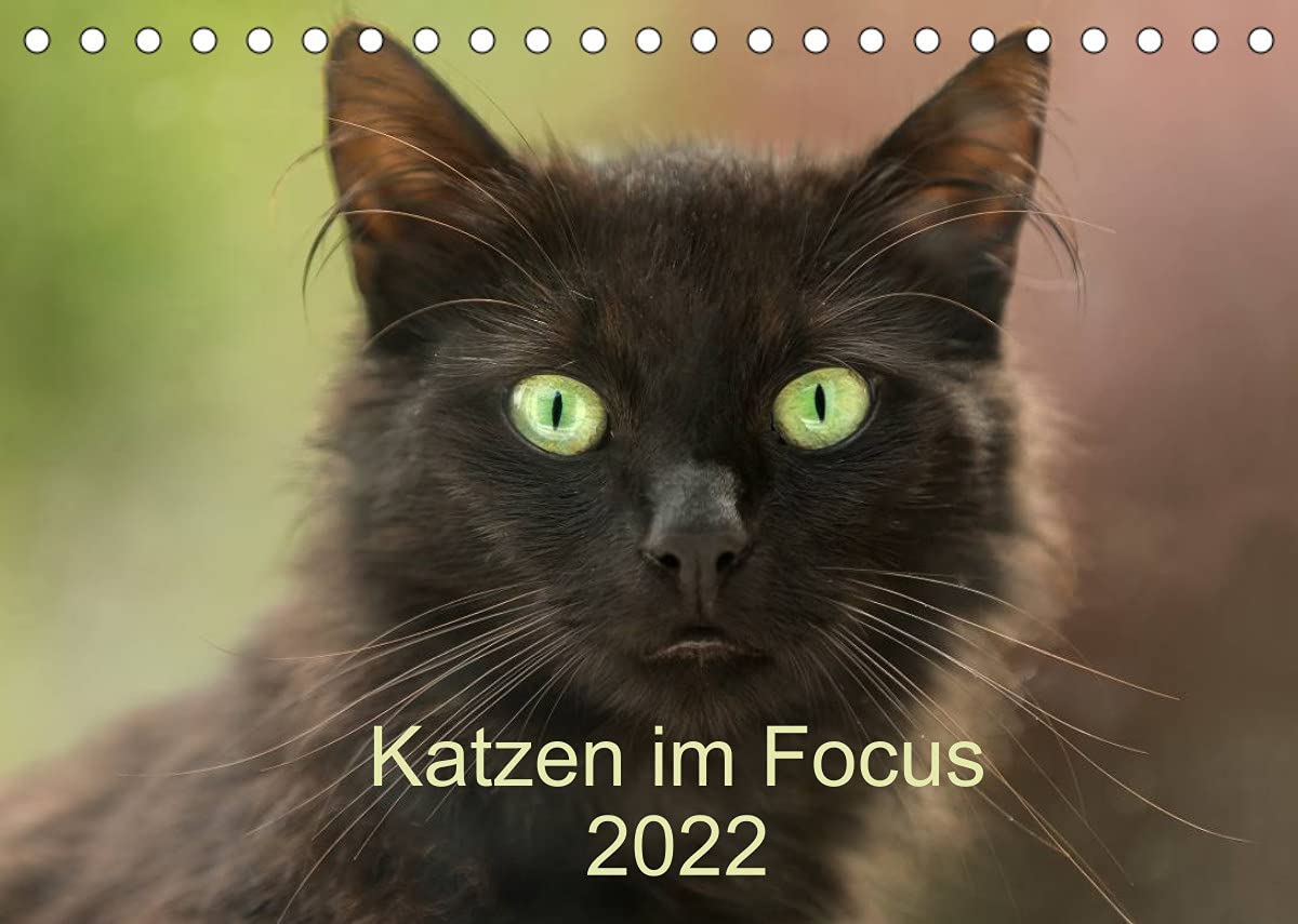 Katzen im Focus 2022 (Tischkalender 2022 DIN A5 quer): Geburtstagskalender für Katzenfreunde (Geburtstagskalender, 14 Seiten ) (CALVENDO Tiere) Photography