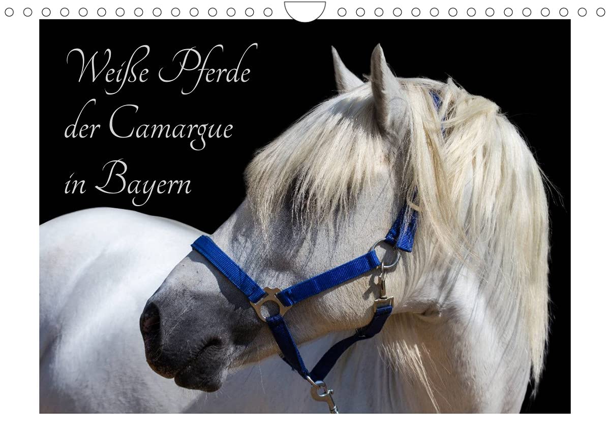 Weiße Pferde der Camargue in Bayern (Wandkalender 2022 DIN A4 quer): Das Camargue-Pferd ist eine der schönsten Pferderassen weltweit. (Monatskalender, 14 Seiten ) (CALVENDO Tiere) Natural Sciences