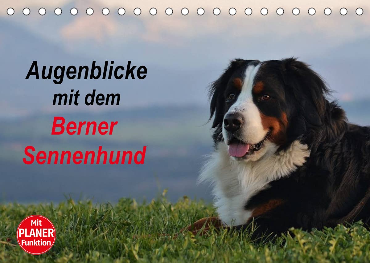 Augenblicke mit dem Berner Sennenhund (Tischkalender 2022 DIN A5 quer): Planungskalender, 14 Seiten mit Planfunktion (Geburtstagskalender, 14 Seiten ) (CALVENDO Tiere) Living & Furnishing