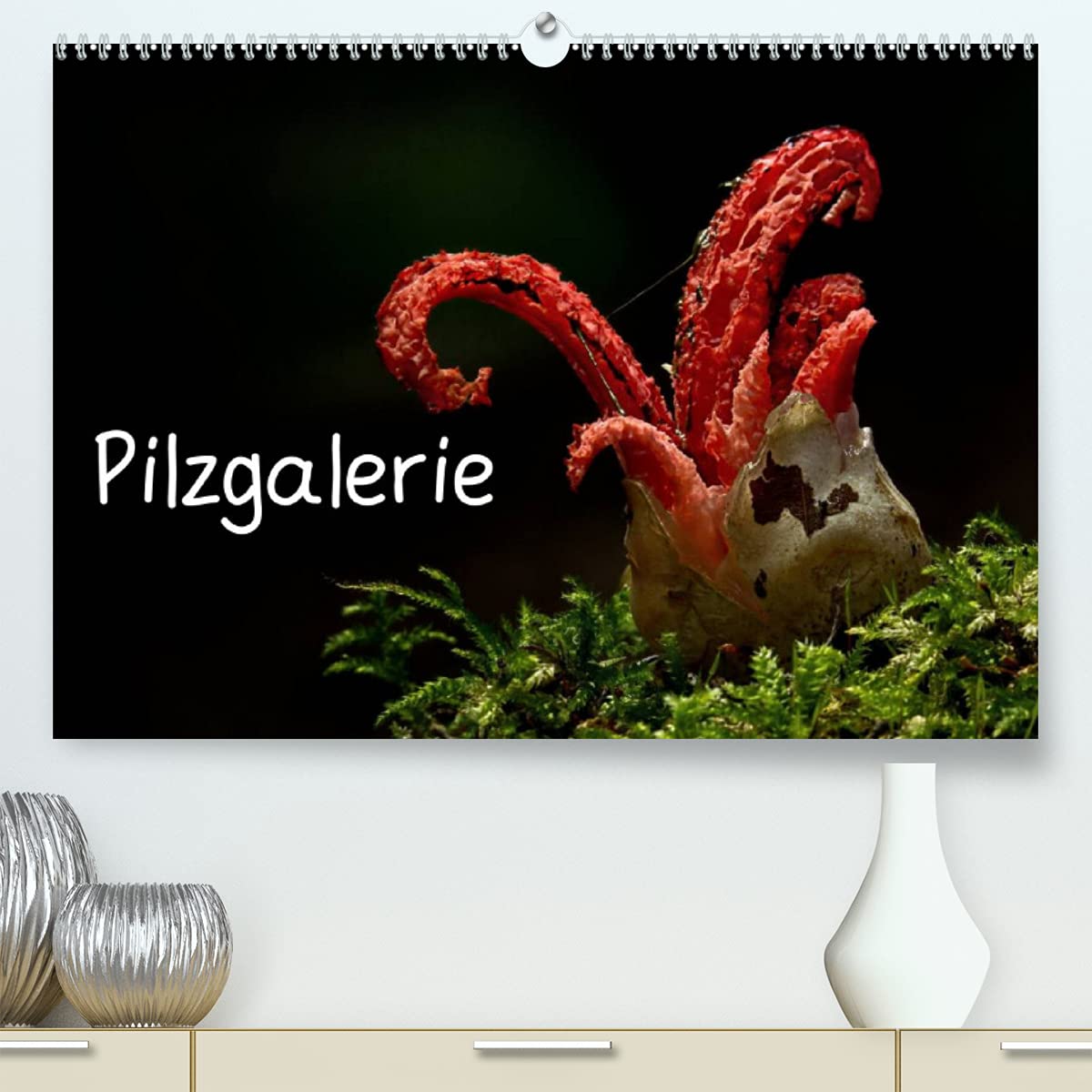 Pilzgalerie (Premium, hochwertiger DIN A2 Wandkalender 2022, Kunstdruck in Hochglanz): Faszinierende Pilzaufnahmen (Monatskalender, 14 Seiten ) (CALVENDO Natur) Living & Furnishing