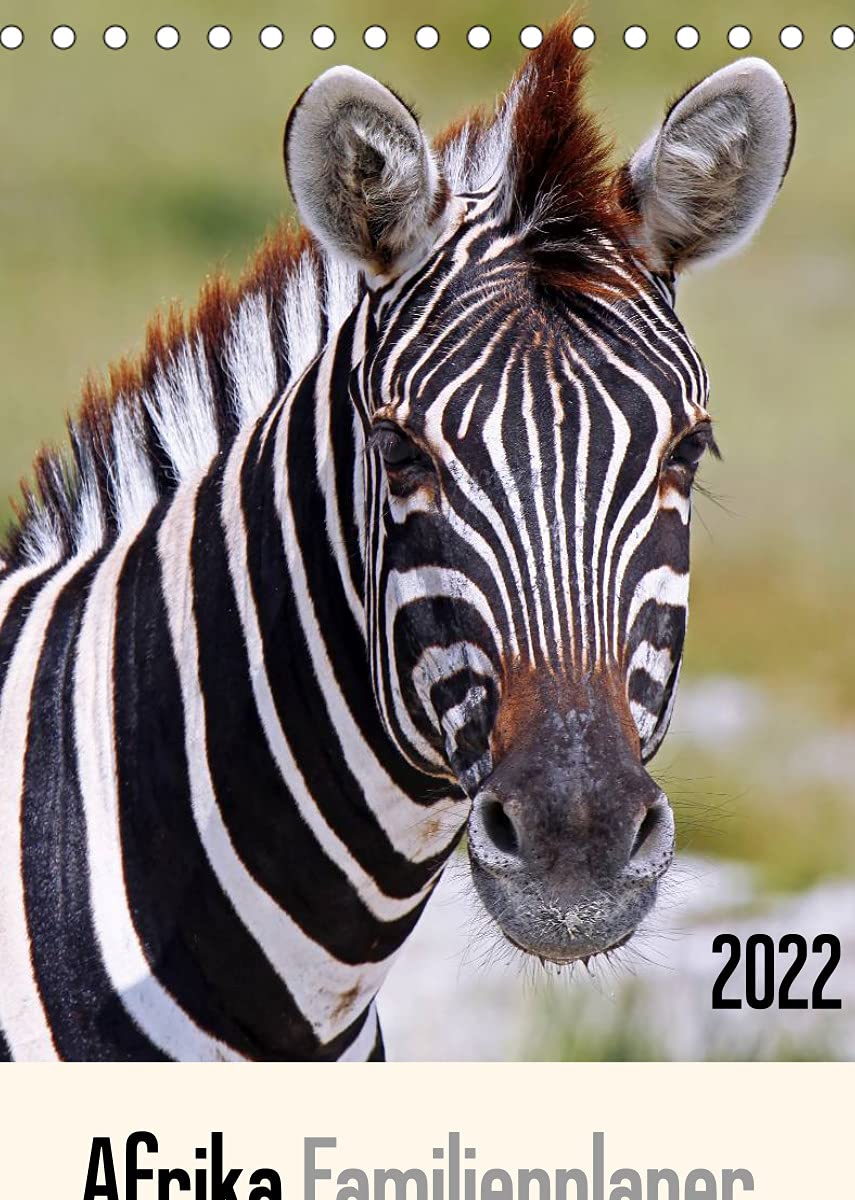 Afrika Familienplaner (Tischkalender 2022 DIN A5 hoch): Tiere und Landschaften erleben (Familienplaner, 14 Seiten ) (CALVENDO Orte) Leisure, Home & Garden