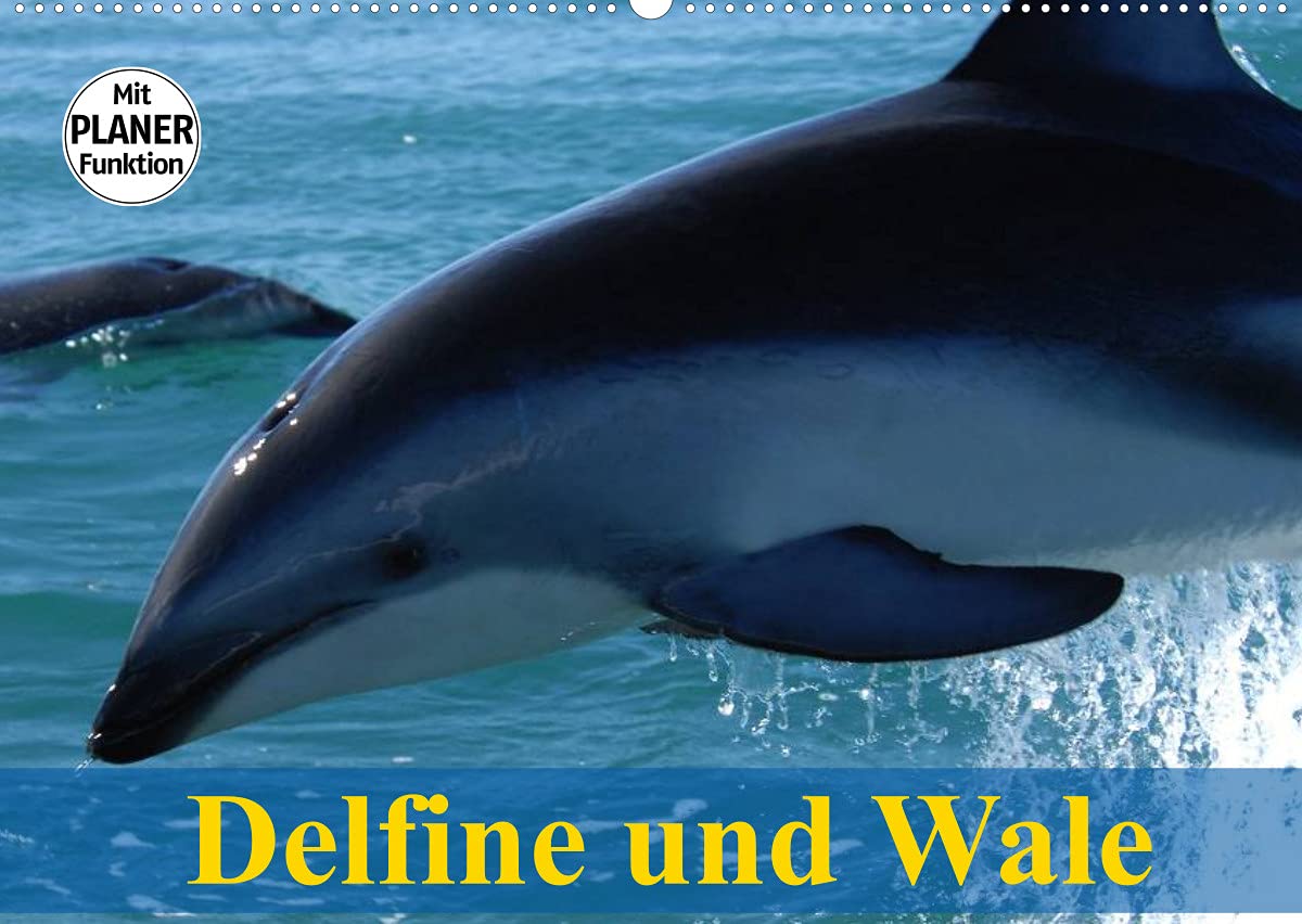 Delfine und Wale (Wandkalender 2022 DIN A2 quer): Kluge Köpfe und faszinierende Giganten der Meere (Geburtstagskalender, 14 Seiten ) (CALVENDO Tiere) Living & Furnishing