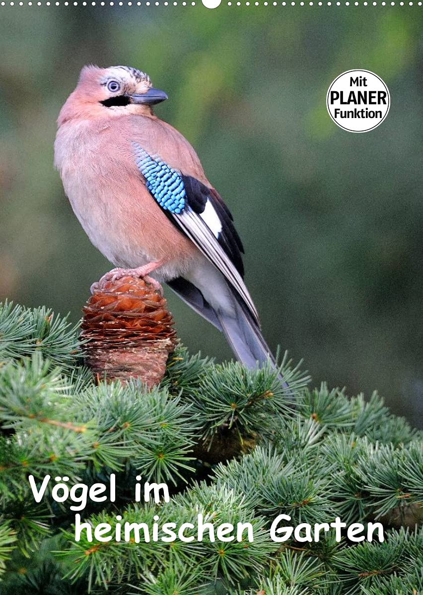 Vögel im heimischen Garten (Wandkalender 2022 DIN A2 hoch): Wunderschöne Aufnahmen, die die Pracht, Vielfalt und Einzigartigkeit unserer „gefiederten ... (Planer, 14 Seiten ) (CALVENDO Tiere) Leisure, Home & Garden
