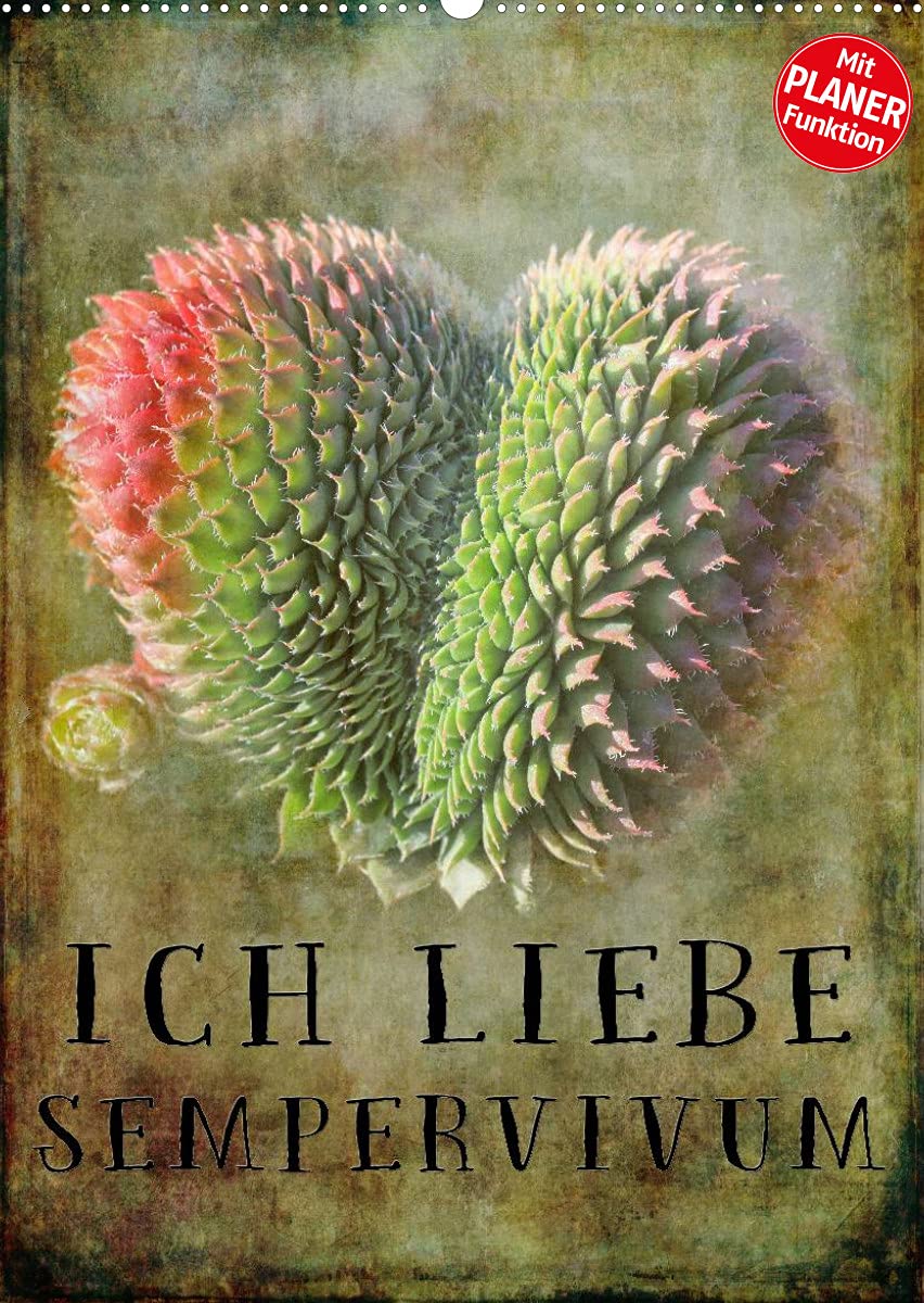 Ich liebe Sempervivum (Wandkalender 2022 DIN A2 hoch): Der ideale Kalender für alle Sempervivum Liebhaber (Planer, 14 Seiten ) (CALVENDO Natur) Leisure, Home & Garden
