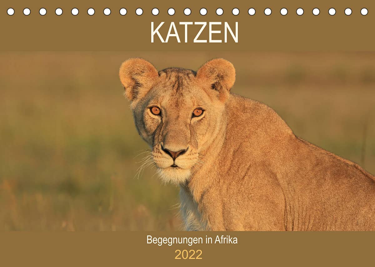 Katzen - Begegnungen in Afrika (Tischkalender 2022 DIN A5 quer): Faszinierende Raubkatzen Afrikas (Geburtstagskalender, 14 Seiten ) (CALVENDO Tiere) Natural Sciences