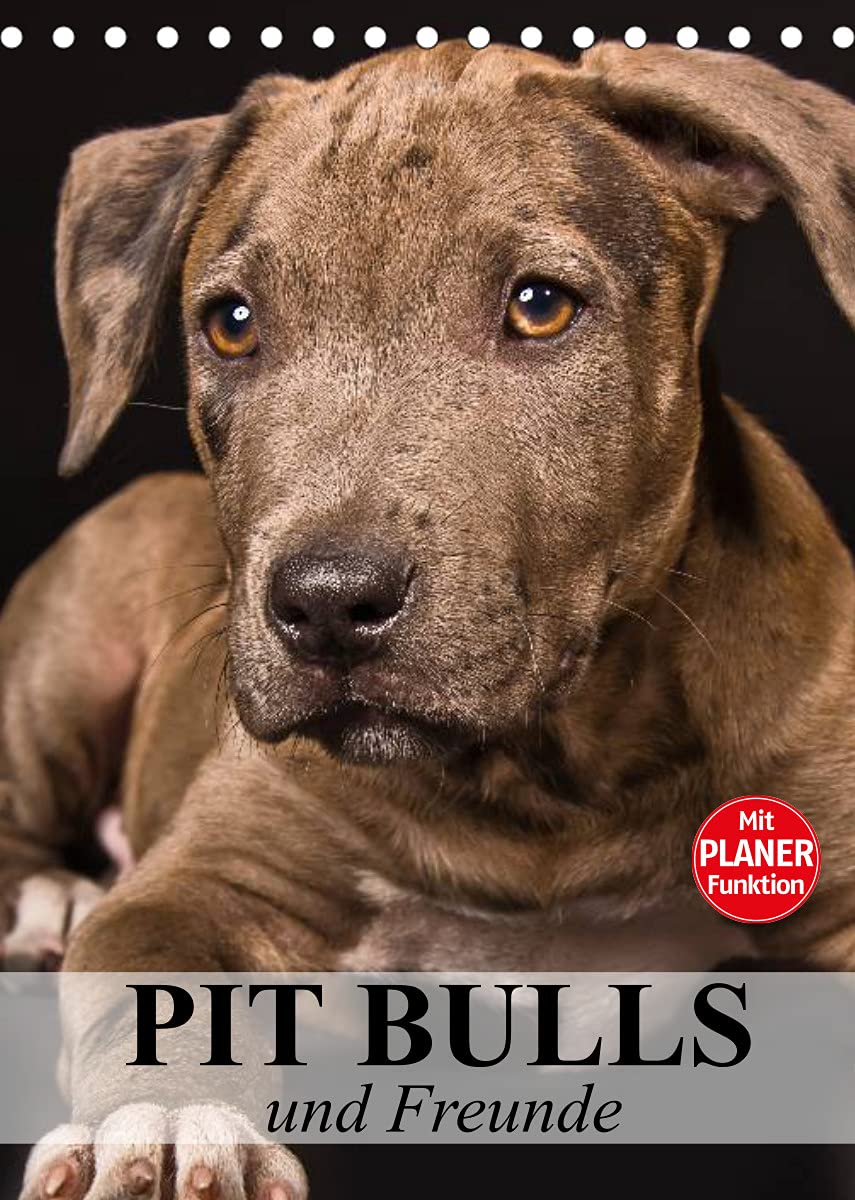 Pit Bulls und Freunde (Tischkalender 2022 DIN A5 hoch): Starke Hunde zwischen Wahrheit und Hetze. (Planer, 14 Seiten ) (CALVENDO Tiere) Living & Furnishing