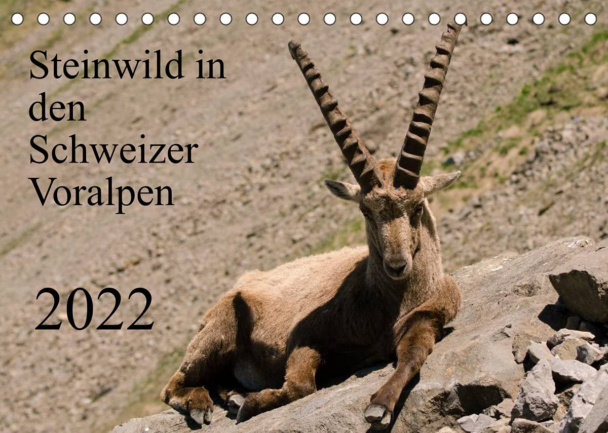 Steinwild in den Schweizer Voralpen (Tischkalender 2022 DIN A5 quer): Besuchen Sie die Steinböcke am Pilatus. (Monatskalender, 14 Seiten ) (CALVENDO Tiere) Film, Art & Culture