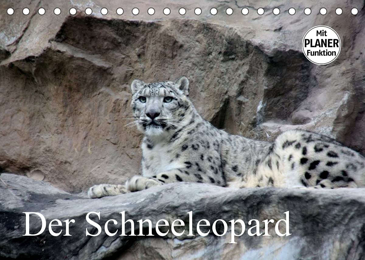 Der Schneeleopard (Tischkalender 2022 DIN A5 quer): Die perfekte Raubkatze für das Leben im Gebirge. (Geburtstagskalender, 14 Seiten ) (CALVENDO Tiere) Film, Art & Culture