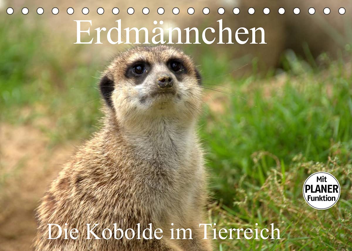 Erdmännchen - Die Kobolde im Tierreich (Tischkalender 2022 DIN A5 quer): Aus dem Leben der Erdmännchen (Geburtstagskalender, 14 Seiten ) (CALVENDO Tiere) Social Sciences