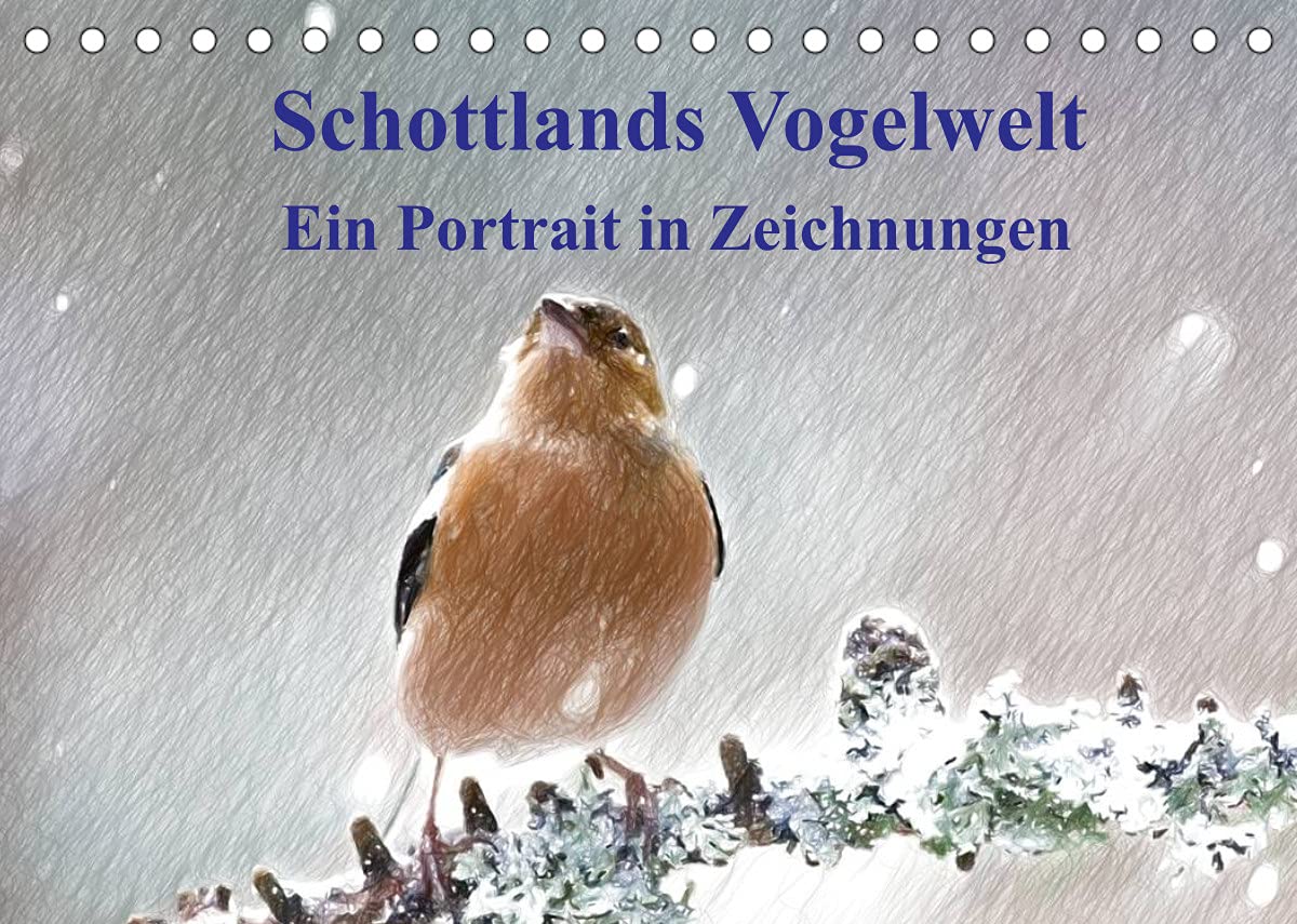 Schottlands Vogelwelt - Ein Porträt in Zeichnungen (Tischkalender 2022 DIN A5 quer): Dieser Kalender ist ein Streifzug durch die Vogelwelt Schottlands ... (Monatskalender, 14 Seiten ) (CALVENDO Natur) Film, Art & Culture