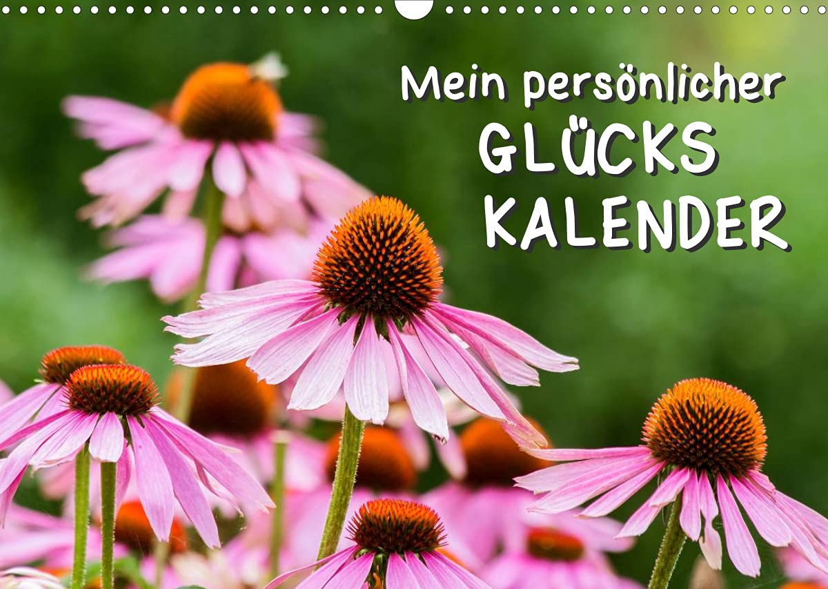 Mein persönlicher Glückskalender (Wandkalender 2022 DIN A3 quer): Ein Kalender zum Festhalten von Glücksmomenten (Geburtstagskalender, 14 Seiten ) (CALVENDO Spass) Psychology
