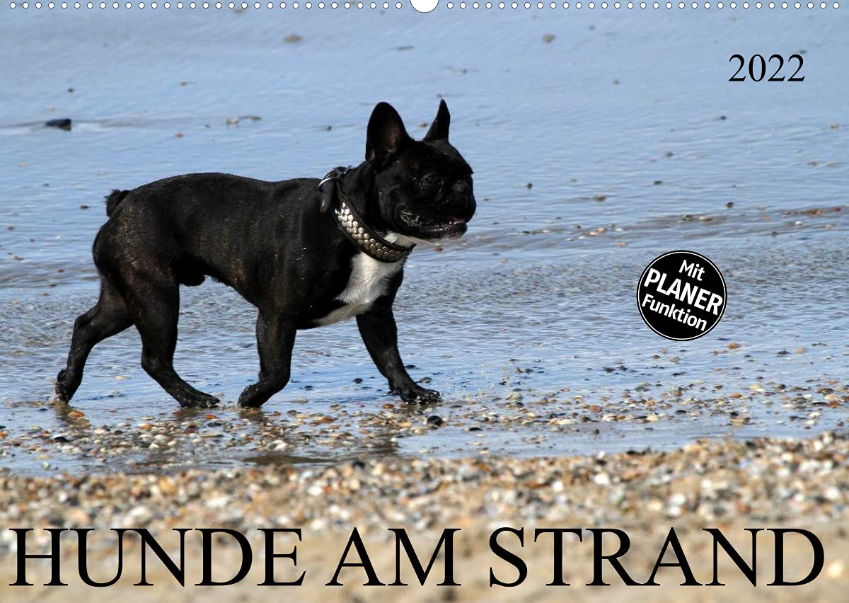 HUNDE AM STRAND (Wandkalender 2022 DIN A2 quer): Verschiedene Hunderassen am Strand (Geburtstagskalender, 14 Seiten ) (CALVENDO Tiere) Living & Furnishing