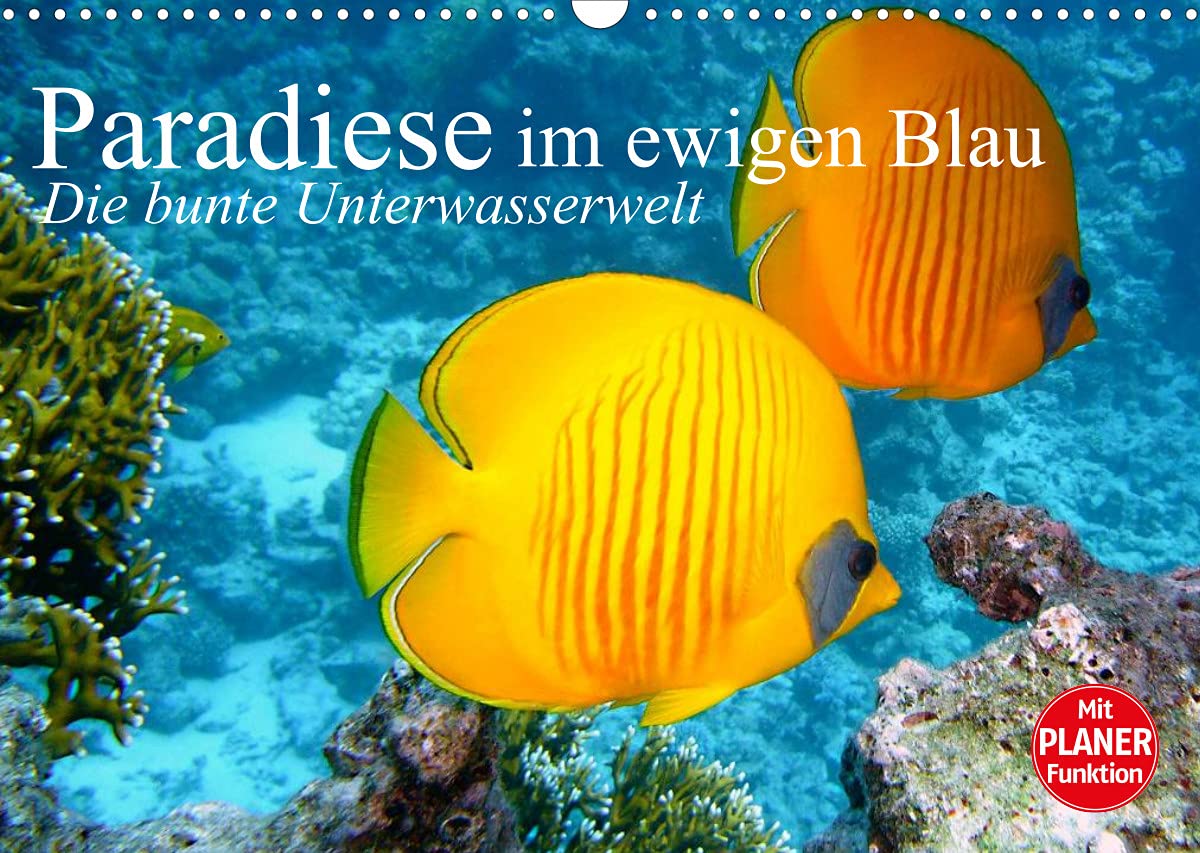 Paradiese im ewigen Blau. Die bunte Unterwasserwelt (Wandkalender 2022 DIN A3 quer): Das bunte Treiben der schönen Lebewesen unter Wasser (Geburtstagskalender, 14 Seiten ) (CALVENDO Tiere) Living & Furnishing