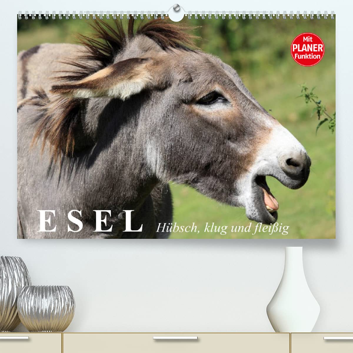 Esel. Hübsch, klug und fleißig (Premium, hochwertiger DIN A2 Wandkalender 2022, Kunstdruck in Hochglanz): Hübsche Sturköpfe im grauen Kuschelfell (Geburtstagskalender, 14 Seiten ) (CALVENDO Tiere) Living & Furnishing
