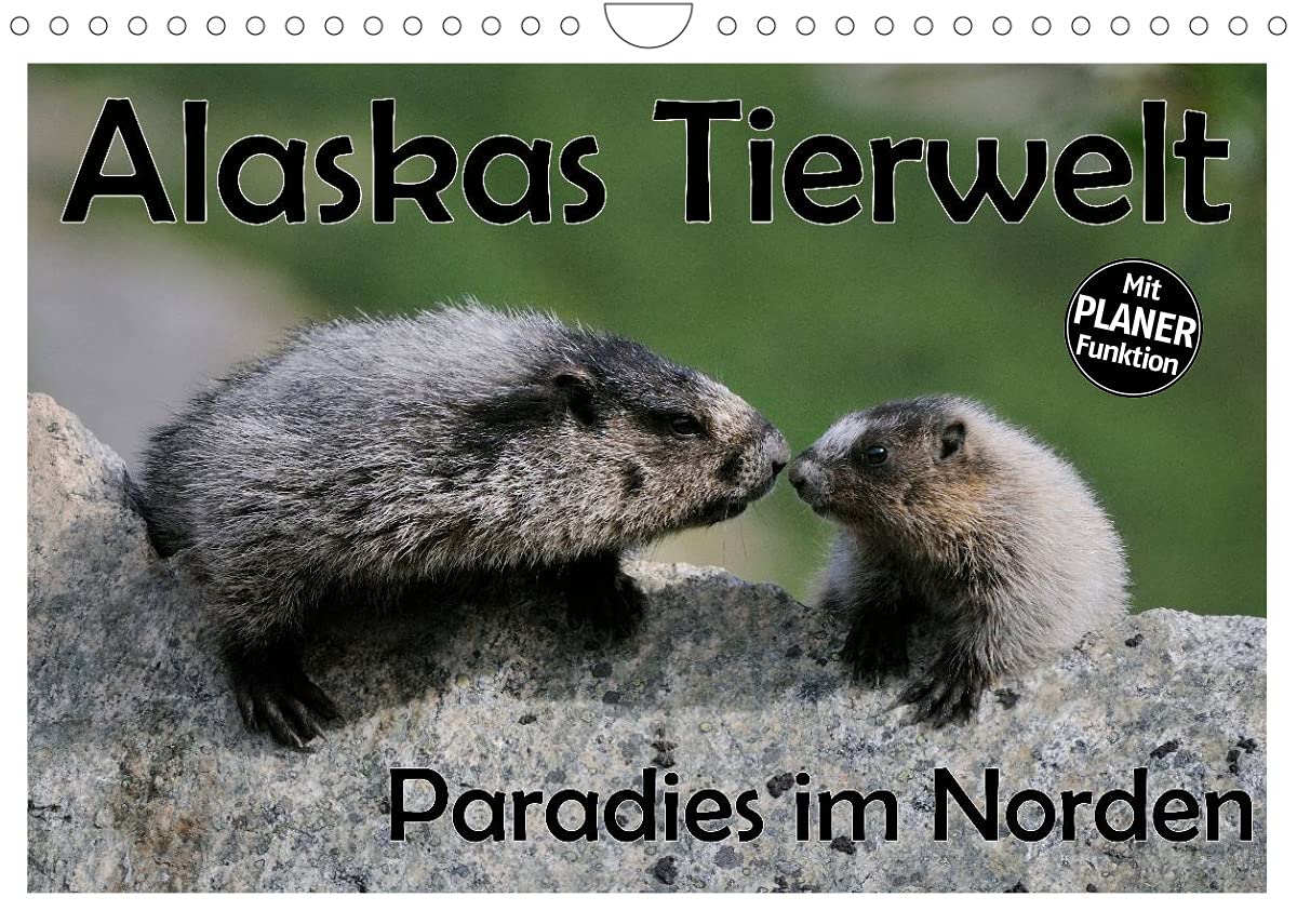 Alaskas Tierwelt - Paradies im Norden (Wandkalender 2022 DIN A4 quer): Wunderschöne, spektakuläre und emotionale Tieraufnahmen, die beweisen: für ... 14 Seiten ) (CALVENDO Tiere) Leisure, Home & Garden