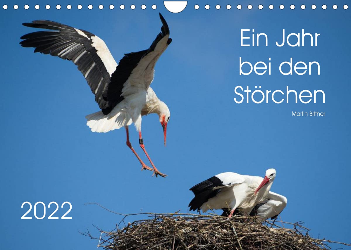 Ein Jahr bei den Störchen (Wandkalender 2022 DIN A4 quer): Intensive Einblicke in das Leben der Weißstörche (Monatskalender, 14 Seiten ) (CALVENDO Natur) Film, Art & Culture