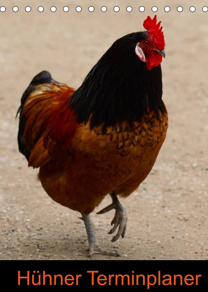 Hühner Terminplaner (Tischkalender 2022 DIN A5 hoch): Nutztiere und Vögel (Planer, 14 Seiten ) (CALVENDO Tiere) Natural Sciences