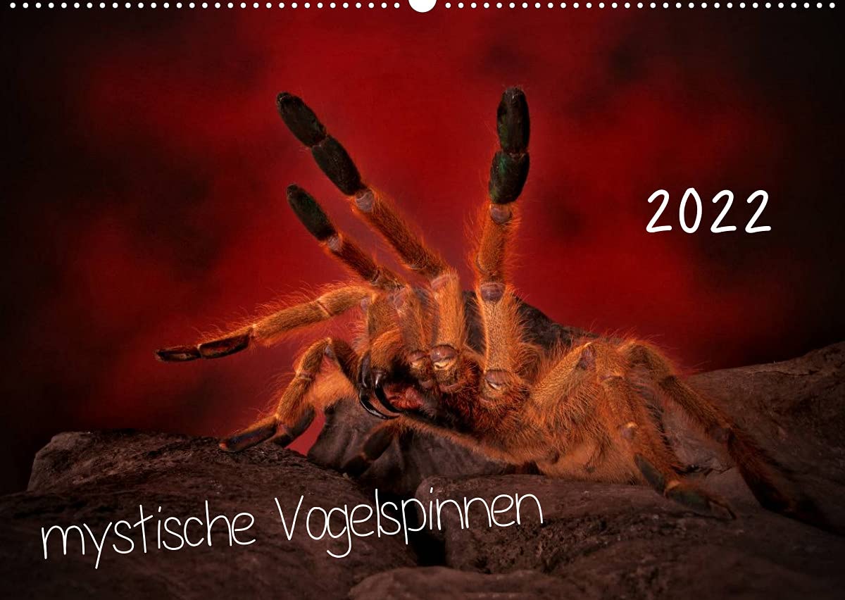 Mystische Vogelspinnen (Wandkalender 2022 DIN A2 quer): Vogelspinnenkalender (Monatskalender, 14 Seiten ) (CALVENDO Tiere) Horror & Mystery