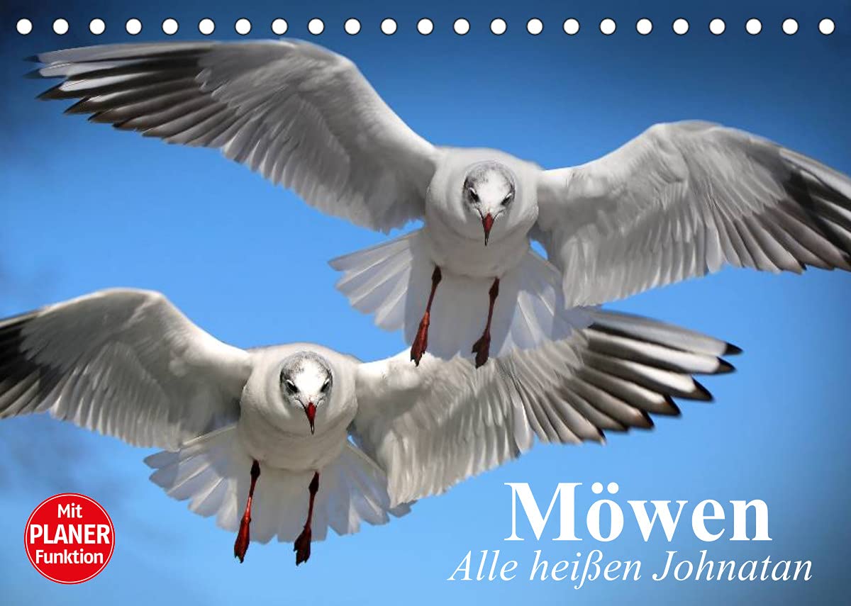 Möwen. Alle heißen Johnatan (Tischkalender 2022 DIN A5 quer): Wendige Schnäppchenjäger in eleganter Kleidung (Geburtstagskalender, 14 Seiten ) (CALVENDO Tiere) Living & Furnishing