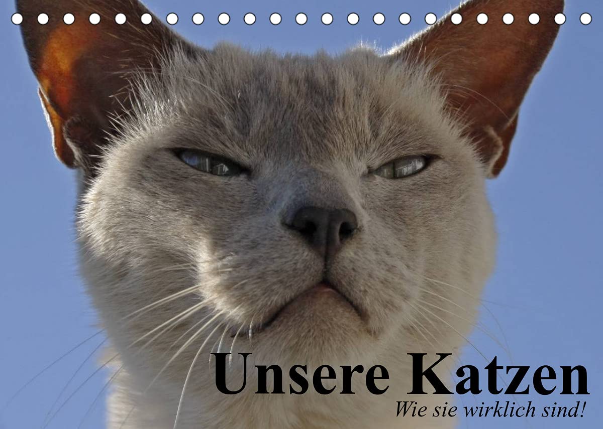 Unsere Katzen. Wie sie wirklich sind! (Tischkalender 2022 DIN A5 quer): Die ganze Wahrheit über Katzen! (Geburtstagskalender, 14 Seiten ) (CALVENDO Tiere) Living & Furnishing