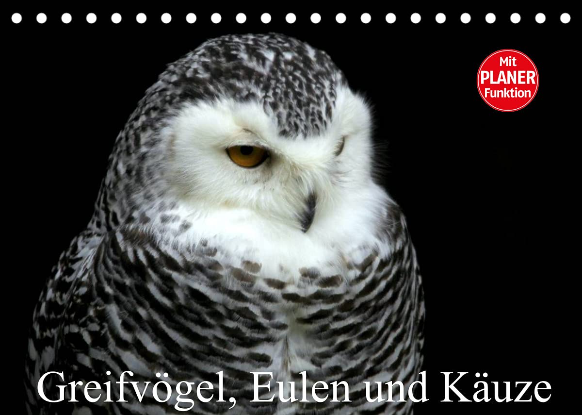 Greifvögel, Eulen und Käuze (Tischkalender 2022 DIN A5 quer): Im Reich der lautlosen Schwingen (Geburtstagskalender, 14 Seiten ) (CALVENDO Tiere) Social Sciences