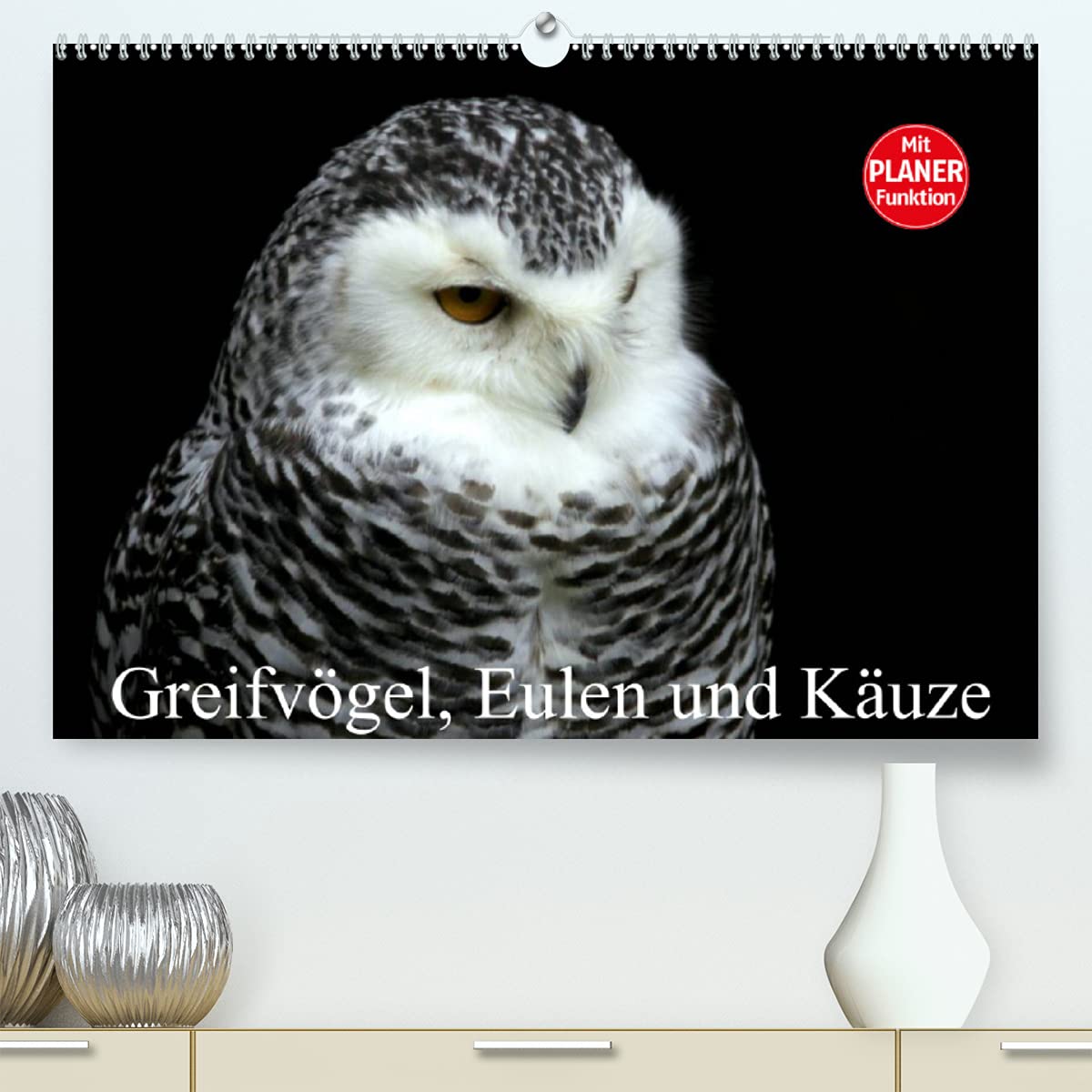 Greifvögel, Eulen und Käuze (Premium, hochwertiger DIN A2 Wandkalender 2022, Kunstdruck in Hochglanz): Im Reich der lautlosen Schwingen (Geburtstagskalender, 14 Seiten ) (CALVENDO Tiere) Social Sciences