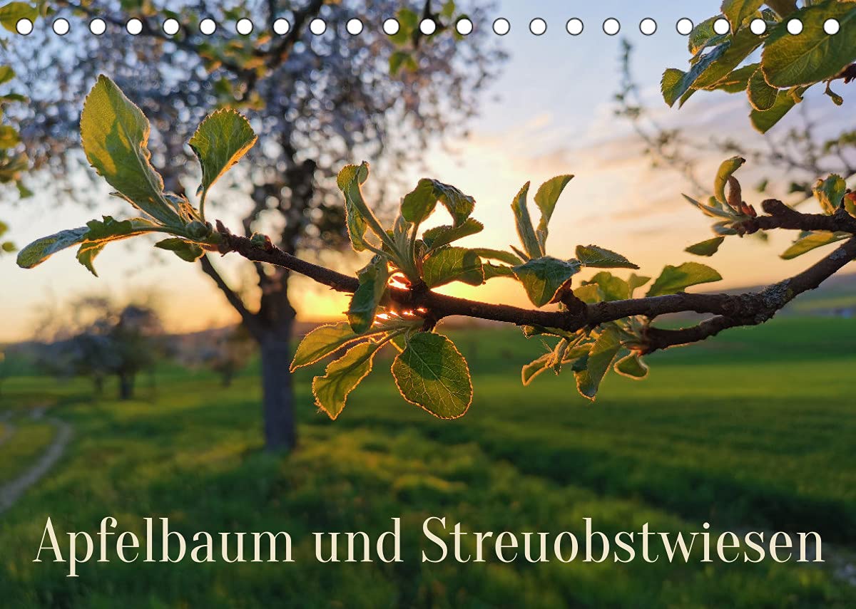 Apfelbaum und Streuobstwiesen (Tischkalender 2022 DIN A5 quer): Der Apfel ist gesund und prägt ganze Landschaften (Monatskalender, 14 Seiten ) (CALVENDO Natur) Leisure, Home & Garden