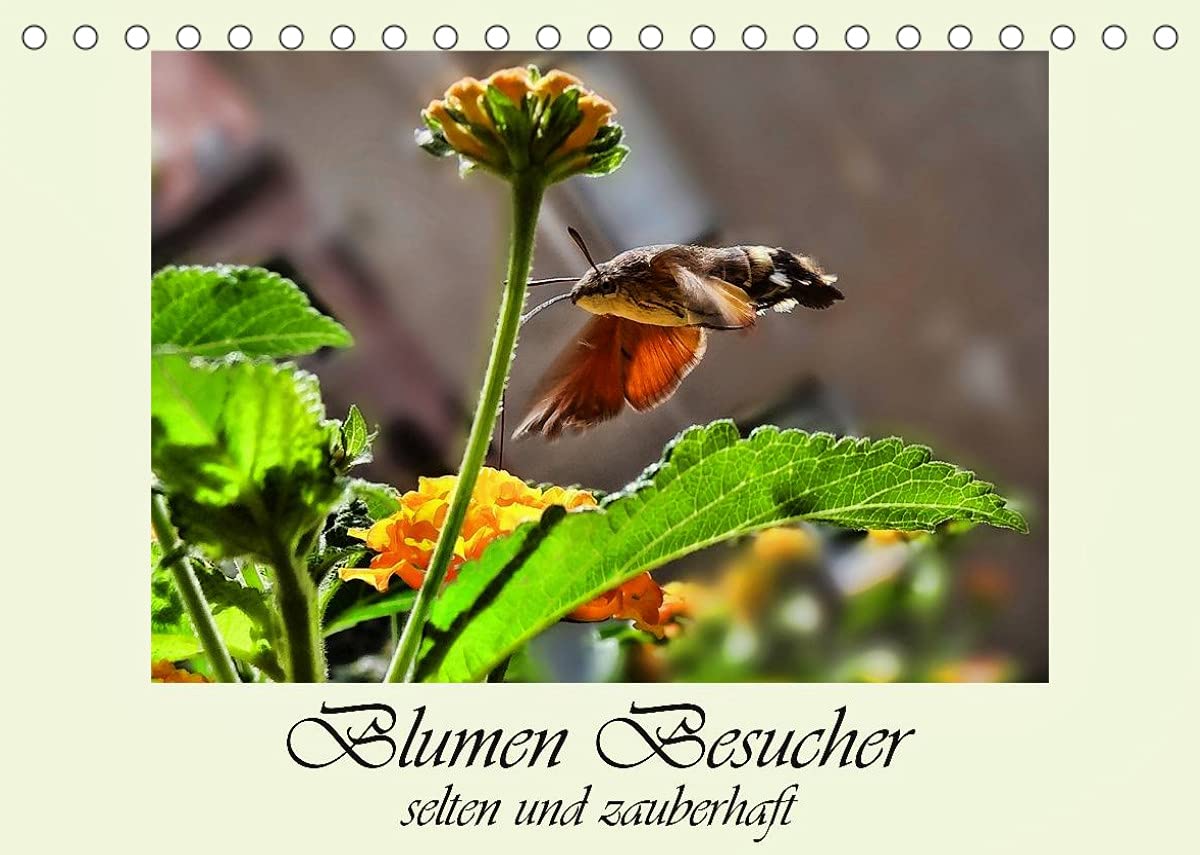 Blumen-Besucher - selten und zauberhaft (Tischkalender 2022 DIN A5 quer): Kleine Blumen-Besucher - zu unserer großen Freude. (Monatskalender, 14 Seiten ) (CALVENDO Natur) Leisure, Home & Garden