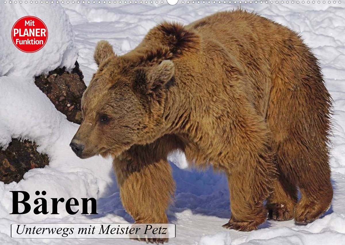 Bären. Unterwegs mit Meister Petz (Wandkalender 2022 DIN A2 quer): Auf leisen Sohlen in Richtung Honig! (Geburtstagskalender, 14 Seiten ) (CALVENDO Tiere) Living & Furnishing