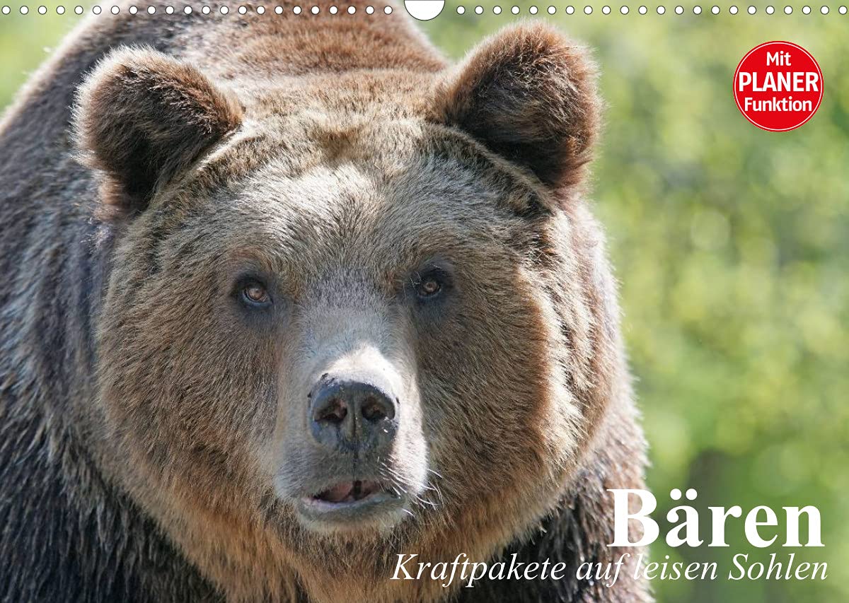 Bären. Kraftpakete auf leisen Sohlen (Wandkalender 2022 DIN A3 quer): Brummende Einzelgänger im Plüschmantel (Geburtstagskalender, 14 Seiten ) (CALVENDO Tiere) Living & Furnishing