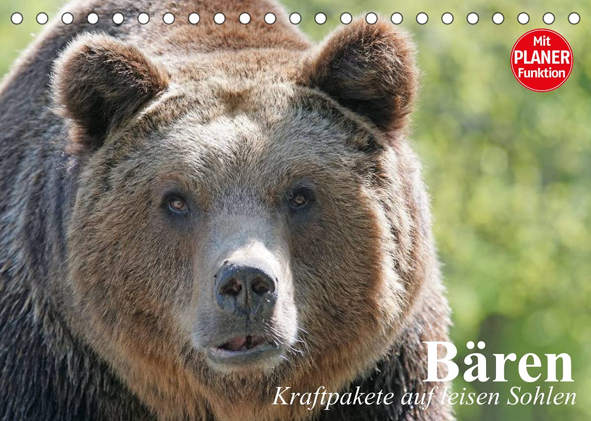 Bären. Kraftpakete auf leisen Sohlen (Tischkalender 2022 DIN A5 quer): Brummende Einzelgänger im Plüschmantel (Geburtstagskalender, 14 Seiten ) (CALVENDO Tiere) Living & Furnishing