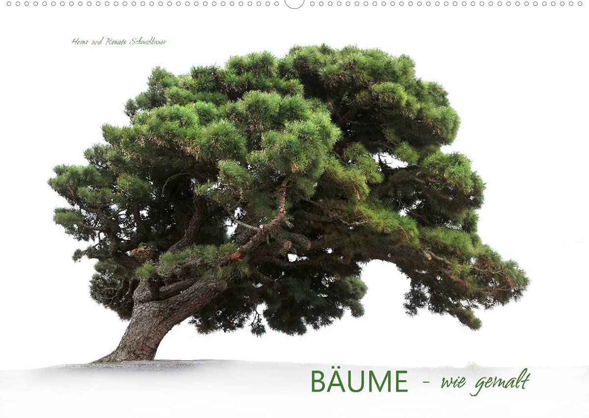 BÄUME - wie gemalt (Wandkalender 2022 DIN A2 quer): Verschiedene Baumarten, meist im Nebel fotografiert sehen aus als wären sie von einem Künstler gemalt. (Monatskalender, 14 Seiten ) (CALVENDO Natur) Leisure, Home & Garden