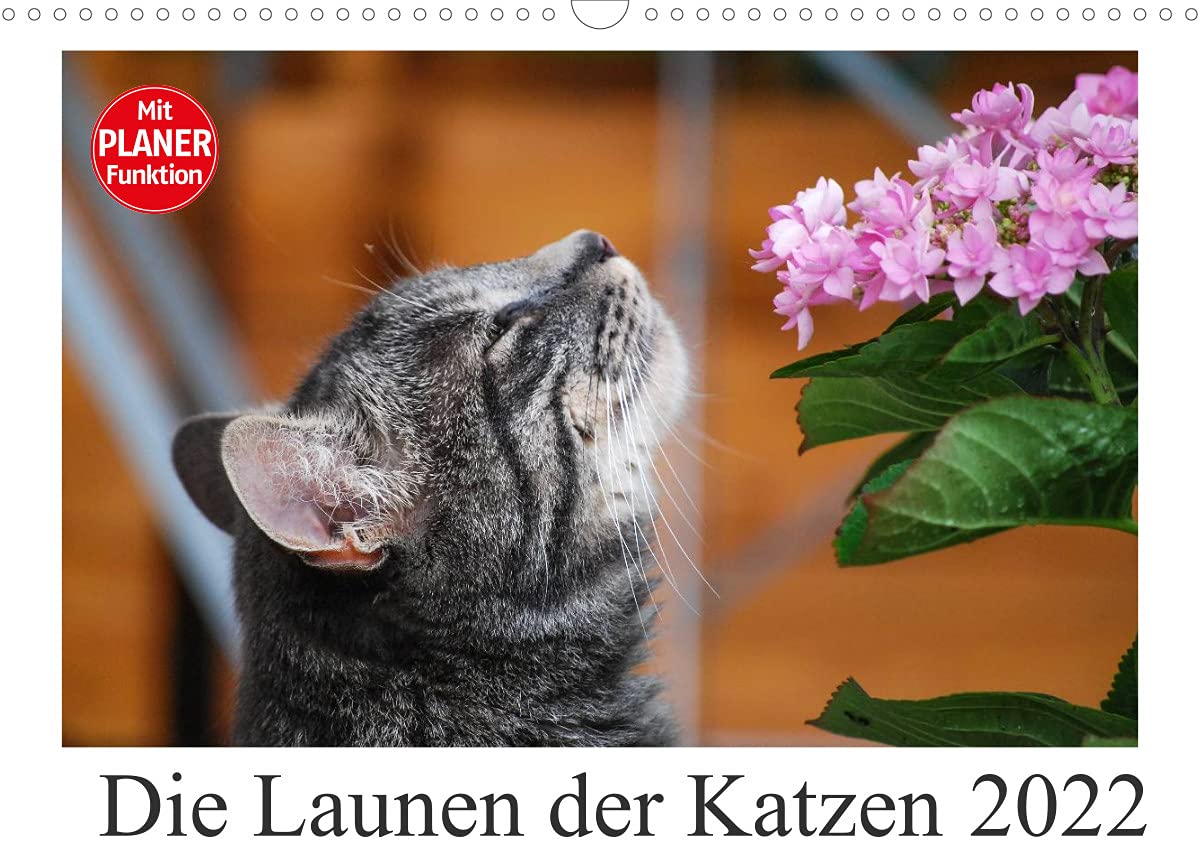 Die Launen der Katzen 2022 (Wandkalender 2022 DIN A3 quer): Die schönsten Momente aus dem Leben der Hauskatzen. (Geburtstagskalender, 14 Seiten ) (CALVENDO Tiere) Natural Sciences