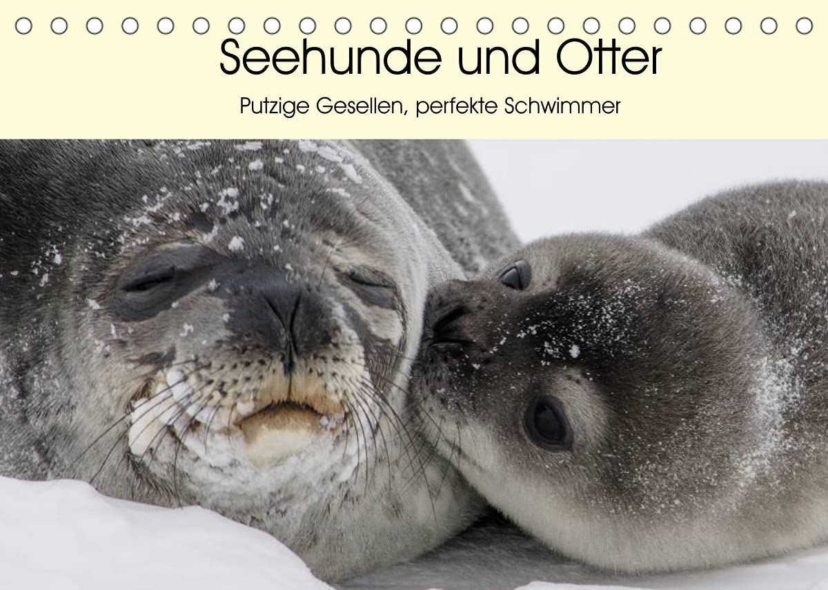 Seehunde und Otter. Putzige Gesellen, perfekte Schwimmer (Tischkalender 2022 DIN A5 quer): Niedliche Räuber und blitzschnelle Schwimmer aus der Nähe ... (Monatskalender, 14 Seiten ) (CALVENDO Tiere) Living & Furnishing