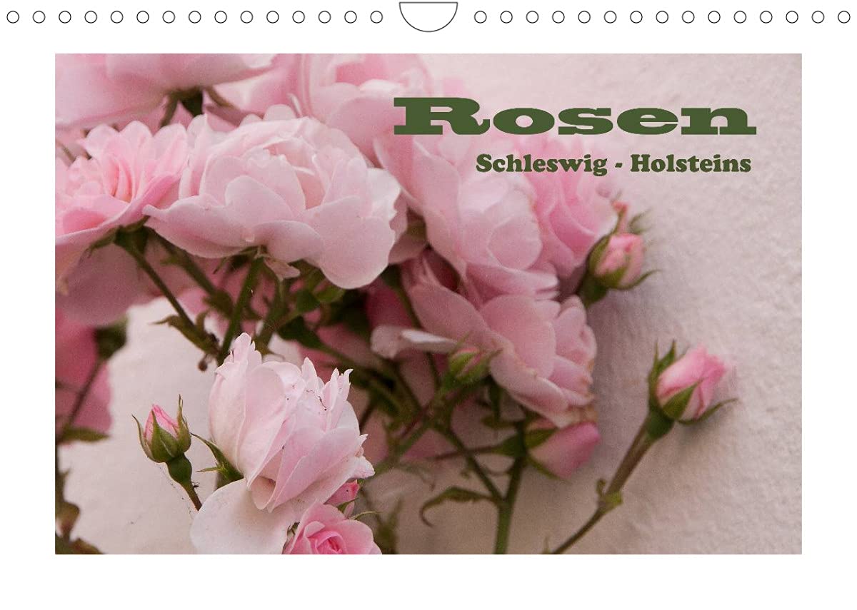Rosen Schleswig-Holsteins (Wandkalender 2022 DIN A4 quer): Die Rosen in Schleswig-Holstein sind etwas ganz besonderes. (Monatskalender, 14 Seiten ) (CALVENDO Natur) Leisure, Home & Garden