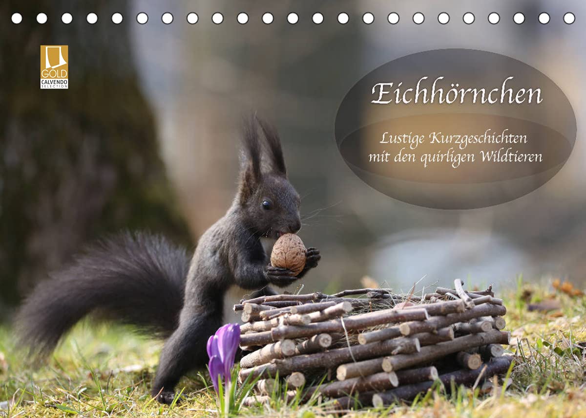 Eichhörnchen - Lustige Kurzgeschichten mit den quirligen Wildtieren (Tischkalender 2022 DIN A5 quer): Eichhörnchen mit kleinen, lustigen Kurzgeschichten (Monatskalender, 14 Seiten ) (CALVENDO Tiere) Leisure, Home & Garden