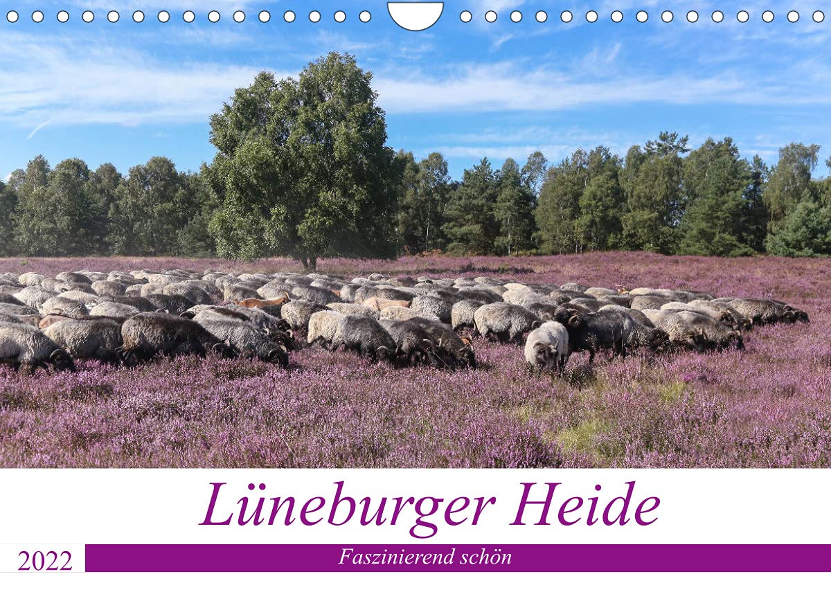 Lüneburger Heide - Faszinierend schön (Wandkalender 2022 DIN A4 quer): Der Naturpark lädt mit seinen schönen Heideflächen zum Wandern, Radfahren und ... (Monatskalender, 14 Seiten ) (CALVENDO Orte) Living & Furnishing