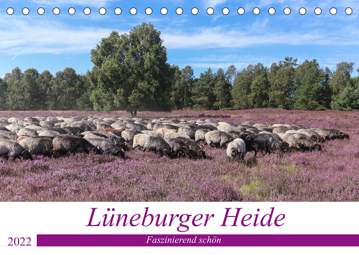 Lüneburger Heide - Faszinierend schön (Tischkalender 2022 DIN A5 quer): Der Naturpark lädt mit seinen schönen Heideflächen zum Wandern, Radfahren und ... (Monatskalender, 14 Seiten ) (CALVENDO Orte) Living & Furnishing