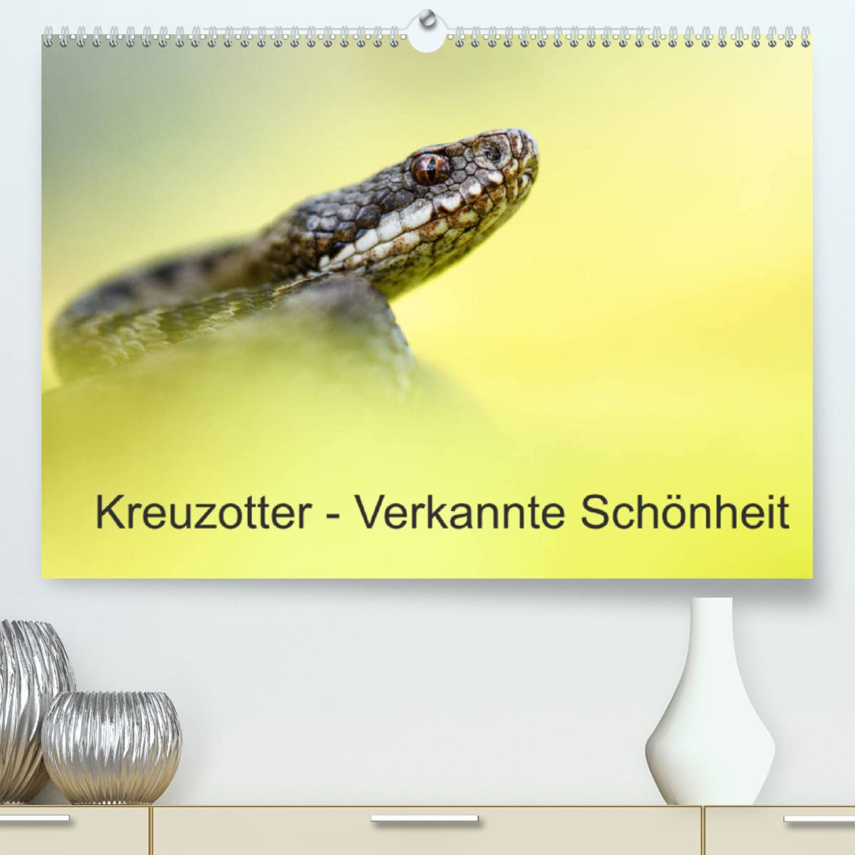 Kreuzotter - Verkannte Schönheit (Premium, hochwertiger DIN A2 Wandkalender 2022, Kunstdruck in Hochglanz): Faszinierende Aufnahmen von Kreuzottern. (Monatskalender, 14 Seiten ) (CALVENDO Tiere) Photography