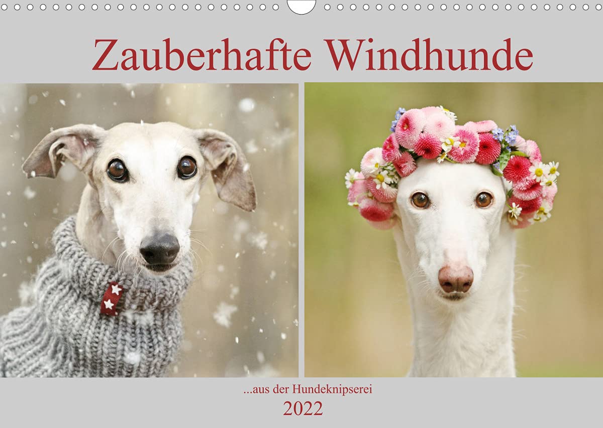 Zauberhafte Windhunde (Wandkalender 2022 DIN A3 quer): ....mit den langen Nasen durch das Jahr. (Monatskalender, 14 Seiten ) (CALVENDO Tiere) Living & Furnishing