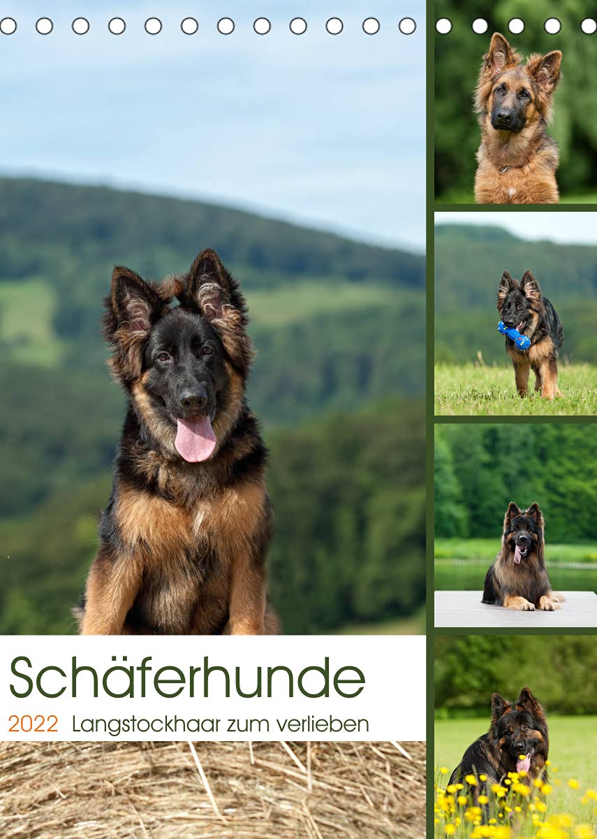 Schäferhunde Langstockhaar zum verlieben (Tischkalender 2022 DIN A5 hoch): Langhaar Schäferhunde für das ganze Jahr (Monatskalender, 14 Seiten ) (CALVENDO Tiere) Photography