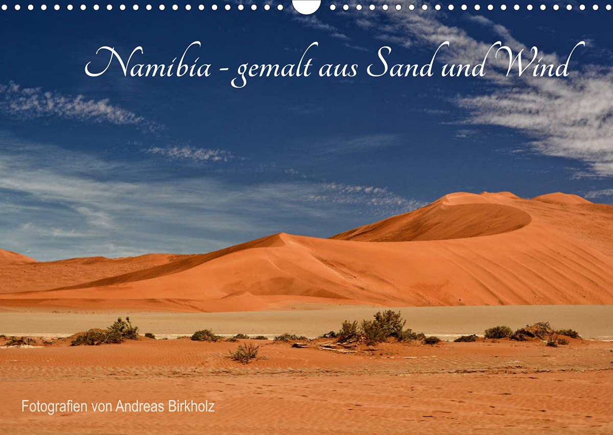 Namibia - gemalt aus Sand und Wind (Wandkalender 2022 DIN A3 quer): Fotografien aus dem Namib Naukluft NP in Namibia (Monatskalender, 14 Seiten ) (CALVENDO Natur) Leisure, Home & Garden