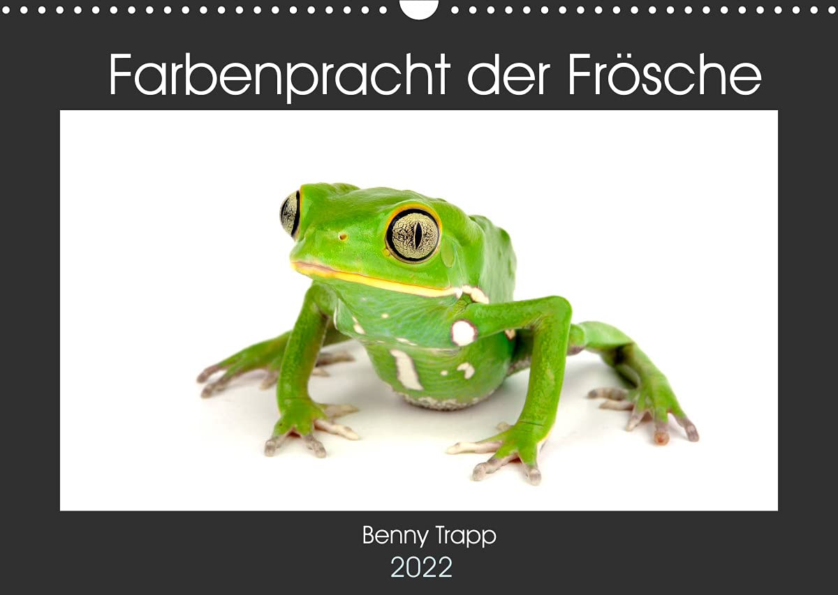 Farbenpracht der Frösche (Wandkalender 2022 DIN A3 quer): Bunte Frösche aus aller Welt (Monatskalender, 14 Seiten ) (CALVENDO Tiere) Photography