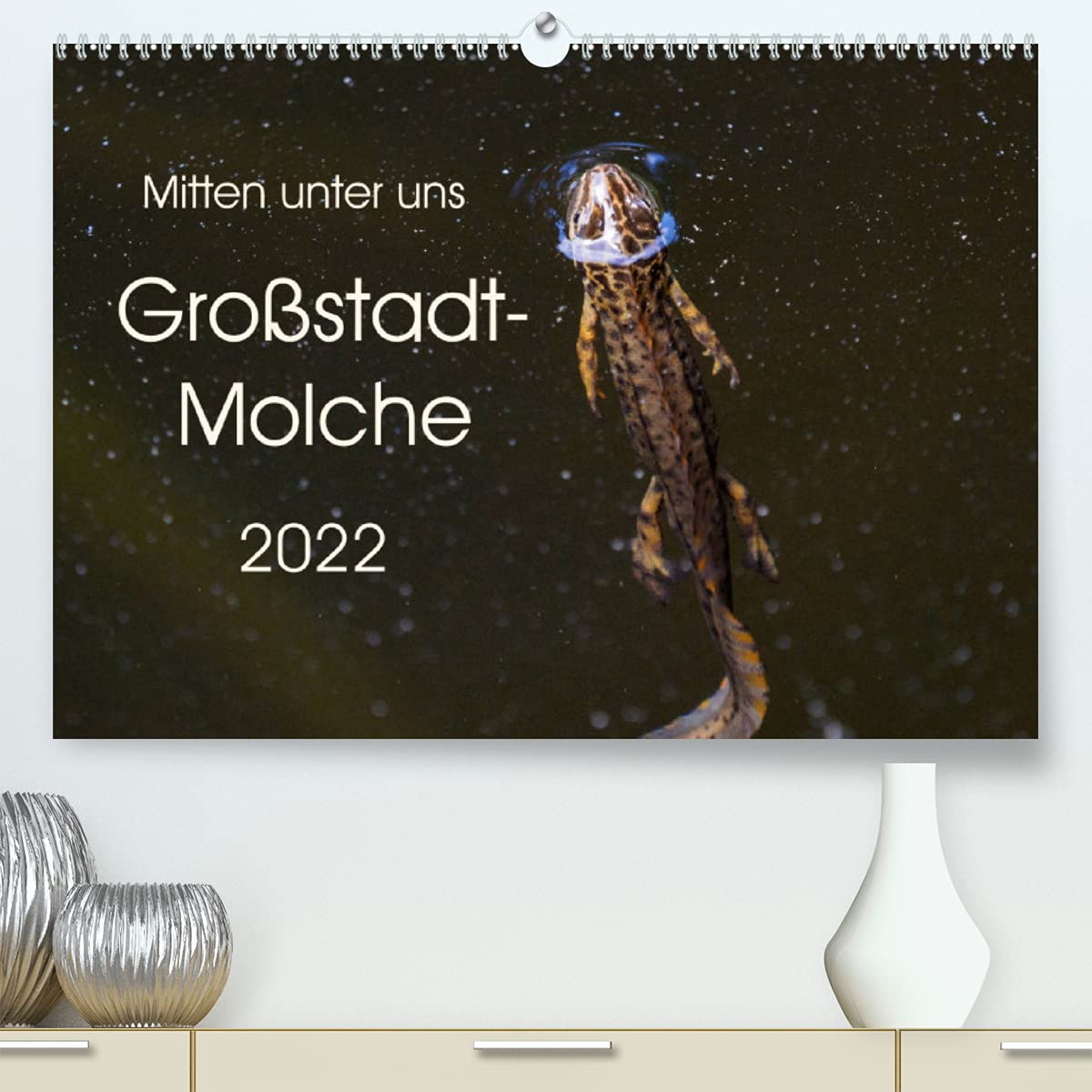 Mitten unter uns - Großstadt-Molche (Premium, hochwertiger DIN A2 Wandkalender 2022, Kunstdruck in Hochglanz): Große und kleine Teichmolche (Monatskalender, 14 Seiten ) (CALVENDO Tiere) Living & Furnishing