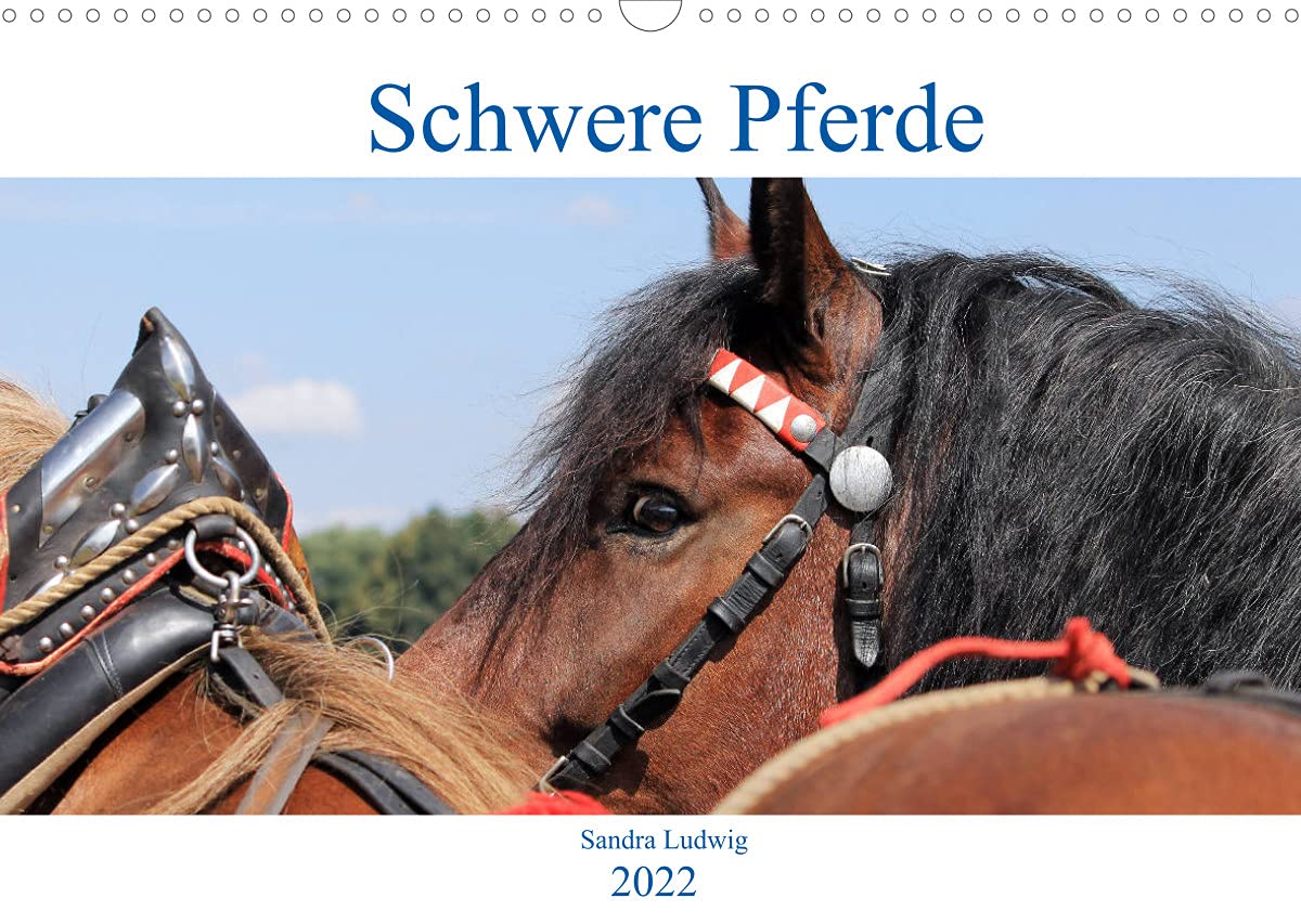 Schwere Pferde 2022 (Wandkalender 2022 DIN A3 quer): Schwere Pferde, mächtige, faszinierende Rösser, porträtiert in zwölf meisterhaften Fotos. (Monatskalender, 14 Seiten ) (CALVENDO Tiere) Photography