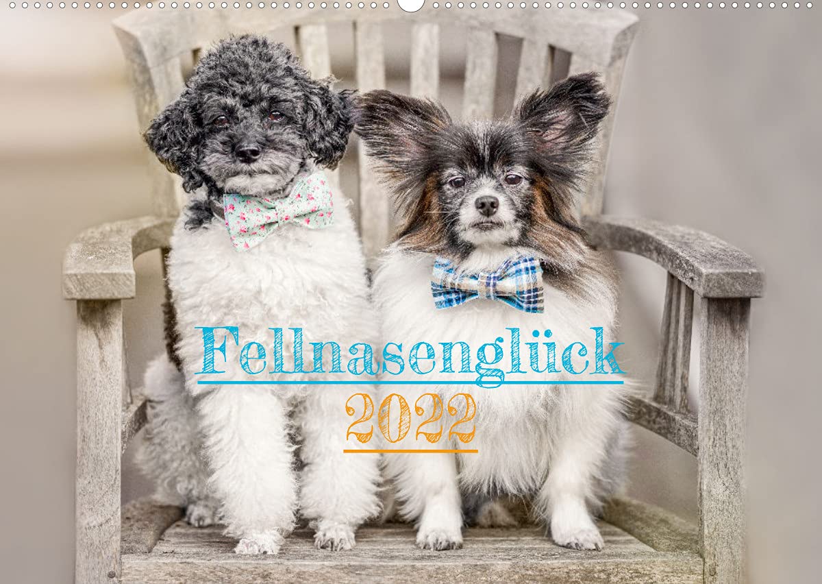 Fellnasenglück (Wandkalender immerwährend DIN A2 quer): Hunde machen glücklich - das ganze Jahr (Monatskalender, 14 Seiten ) (CALVENDO Tiere) Living & Furnishing