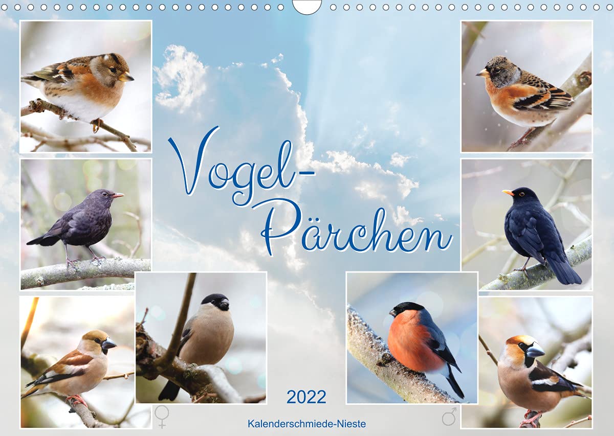 Vogel-Pärchen (Wandkalender 2022 DIN A3 quer): Vogelarten, bei denen sich Männchen und Weibchen optisch unterscheiden (Monatskalender, 14 Seiten ) (CALVENDO Tiere) Lifestyle