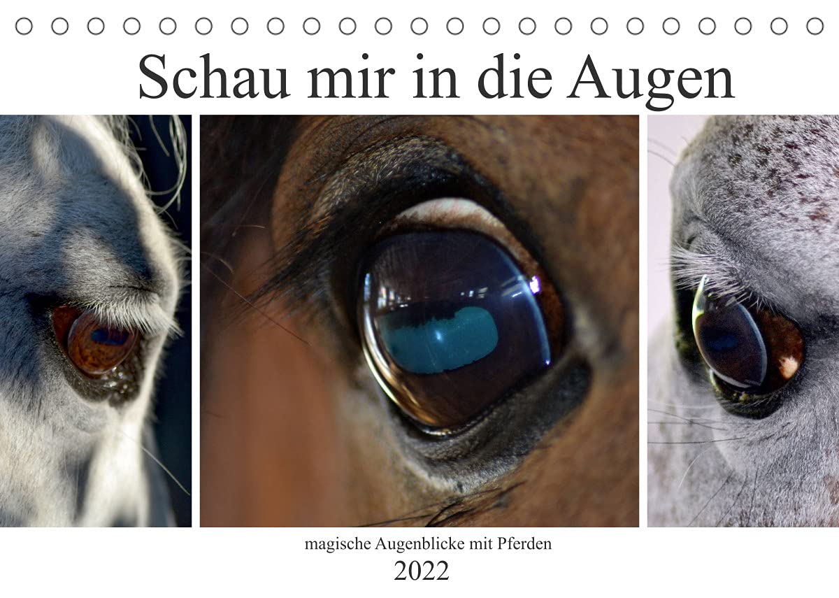 Schau mir in die Augen - magische Augenblicke mit Pferden (Tischkalender 2022 DIN A5 quer): Pferdeaugen sind ausdrucksstark, Fenster zur Seele (Monatskalender, 14 Seiten ) (CALVENDO Tiere) Natural Sciences